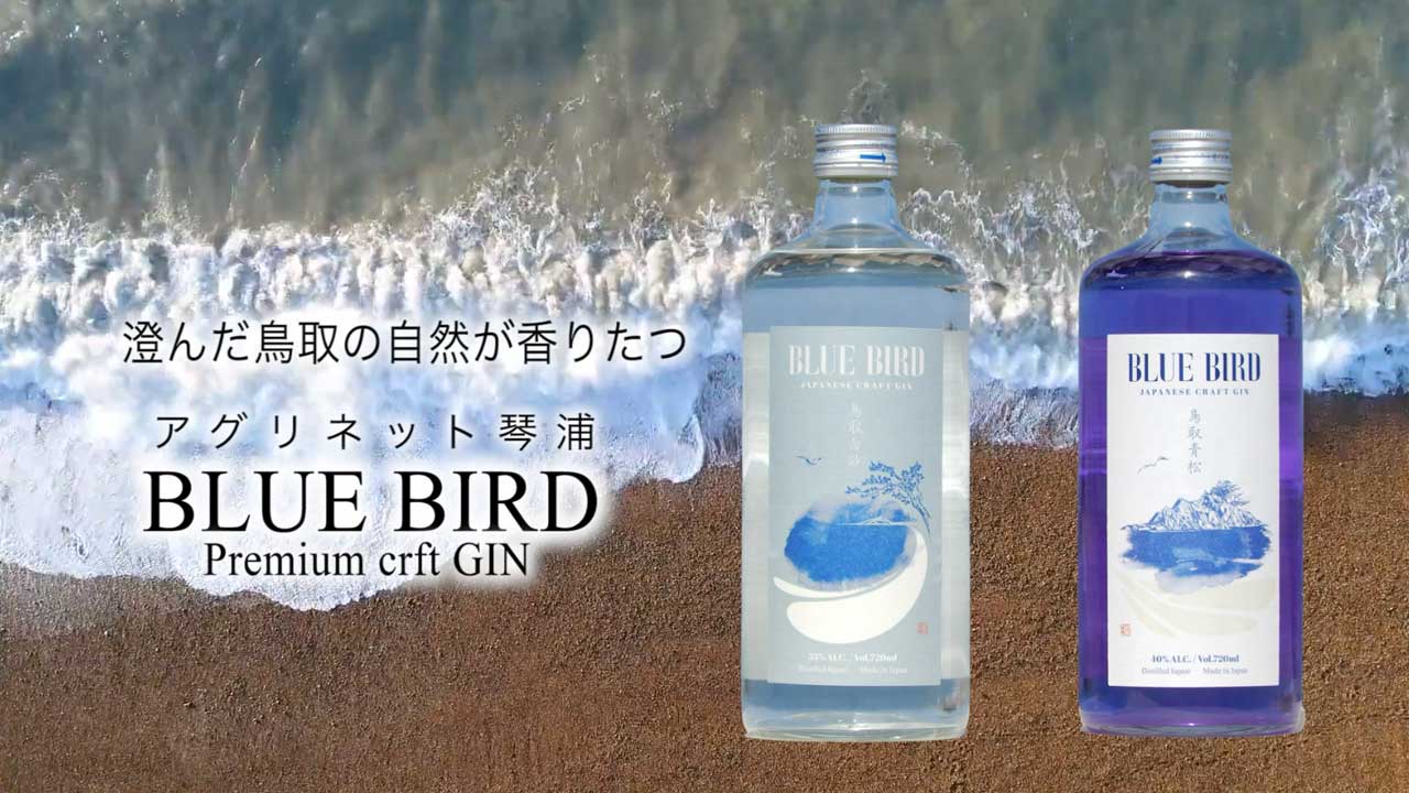 商品紹介映像制作　BLUE BIRD／premium craft GIN