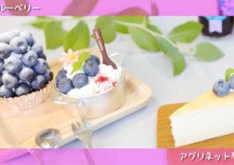 商品紹介映像制作　フレッシュブルーベリー