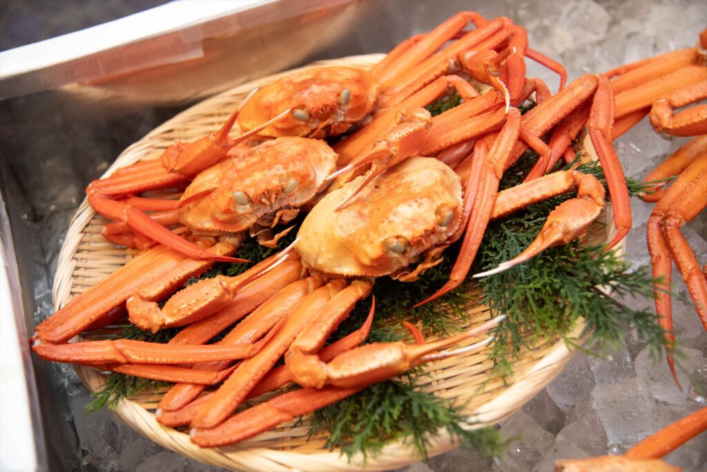 制作実績_企画、イベント_2025日台観光サミット.in鳥取20250531