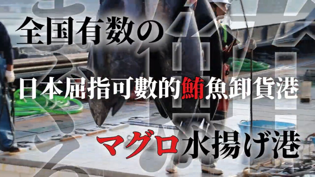 制作実績 映像制作 境港産本マグロ解体ショーPR動画