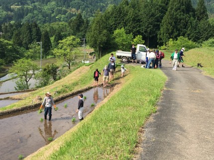 bl00024 岩美町洗井にて「横尾の棚田」撮影