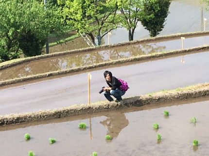 bl00024 岩美町洗井にて「横尾の棚田」撮影