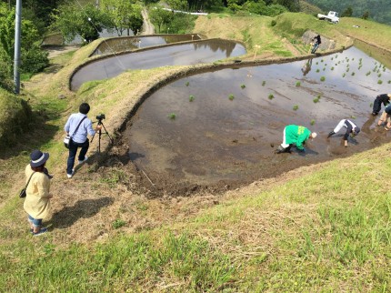bl00024 岩美町洗井にて「横尾の棚田」撮影