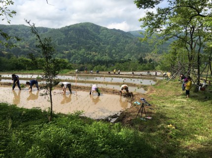 bl00024 岩美町洗井にて「横尾の棚田」撮影